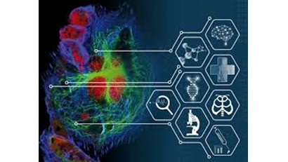 3D cell culture 2023